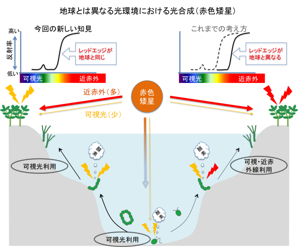 自然界の調律―昆虫・赤外線・太陽エネルギー (1980年) 地球とは異なる 